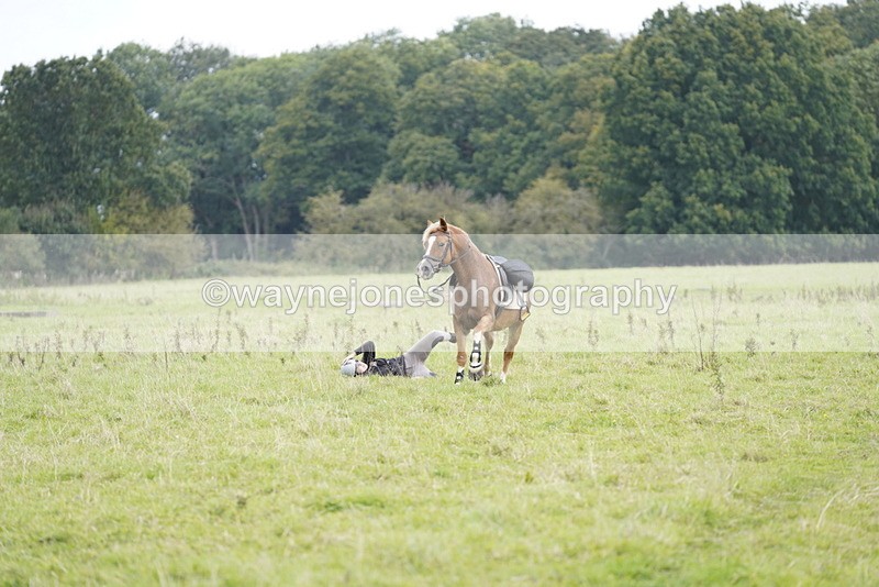 _DSC7910 - Time at Photographer 11:57 to 12:36