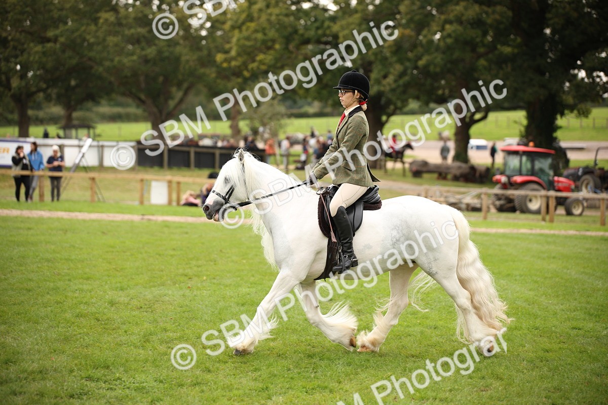 SBM_73527 - S68 - Traditional Cob Ridden