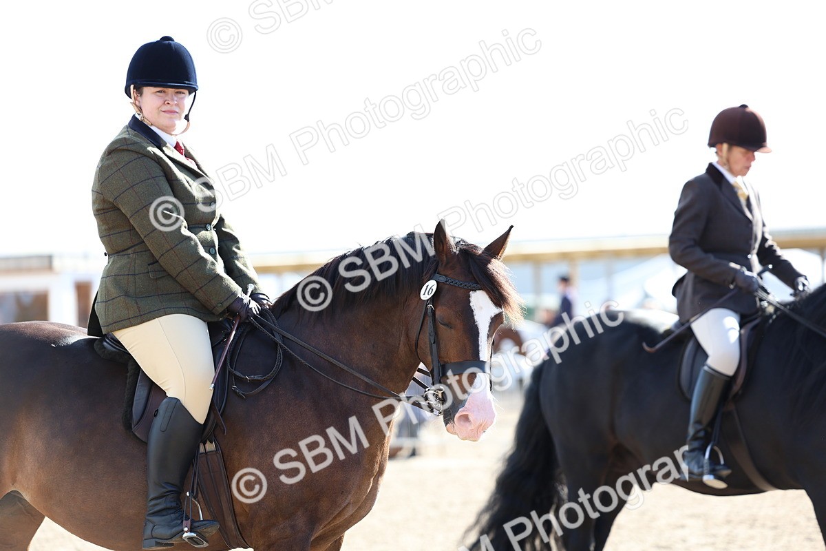 SBM_08948 - Class 302 - Ridden M&M - Large Breeds