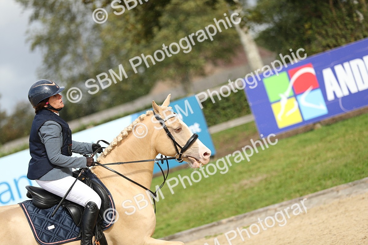 SBM_09895 - J36 - Veteran Rider 70cm