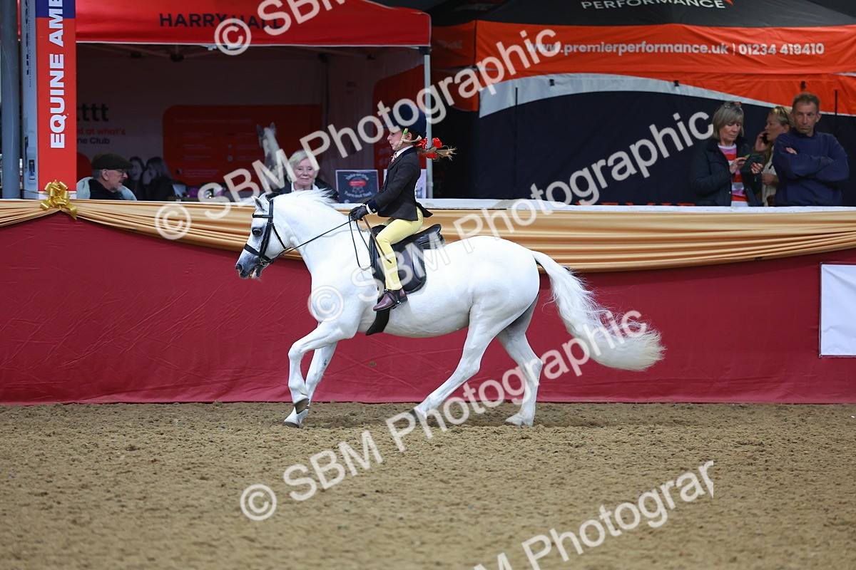 SBM_10702 - Class 103 - HOYS Veteran Qualifier - Ridden Pre Vet
