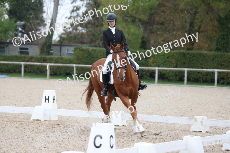 20251011-0576 - Class 4 - Novice 2