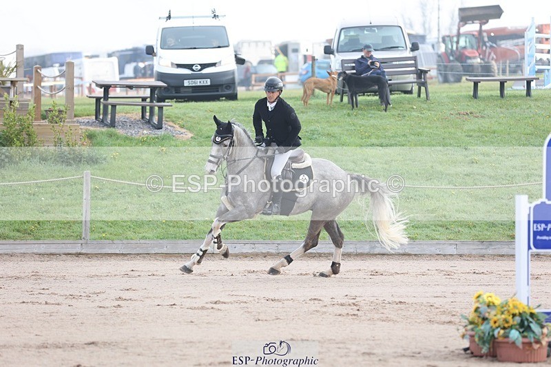 250424-084144-02460 - Cls 25 Young Horse 5yr old