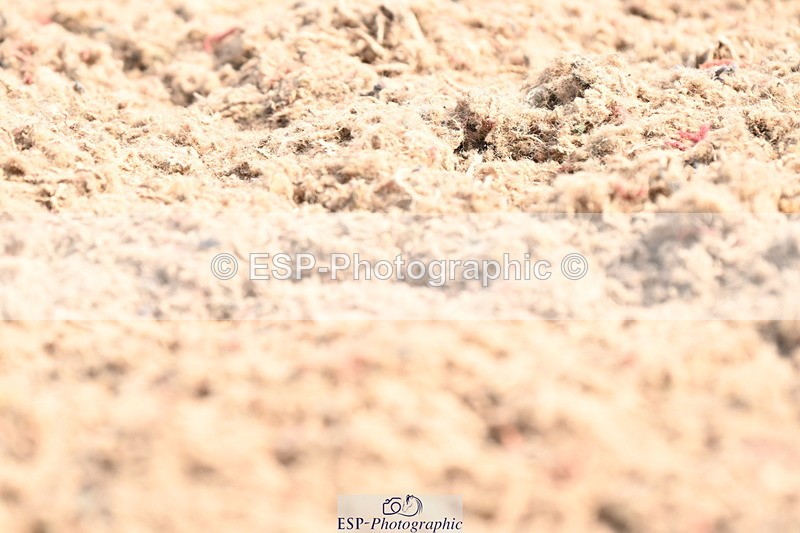 240623A-094308-16061 - Cls 27+28 Quest Intro B