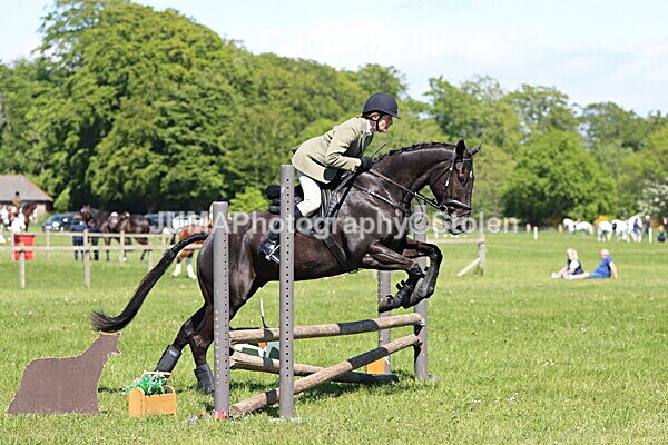 IMG_4124 - Working Hunter