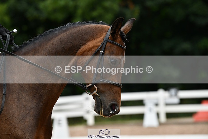 250705-160049-05369 - E1 Section BDE1 16.02 to  to 16.58