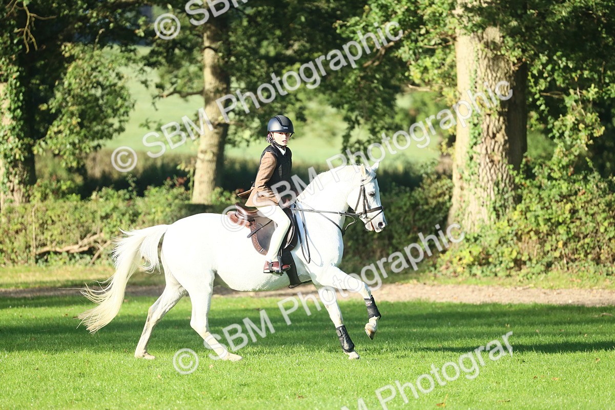 SBM_31961 - S28 - Nursery Stakes Working Hunter Pony
