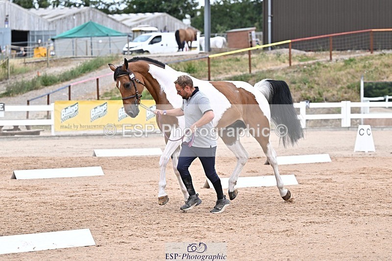 250716-134332-00660 - Trot Up 1.30 to 2.30