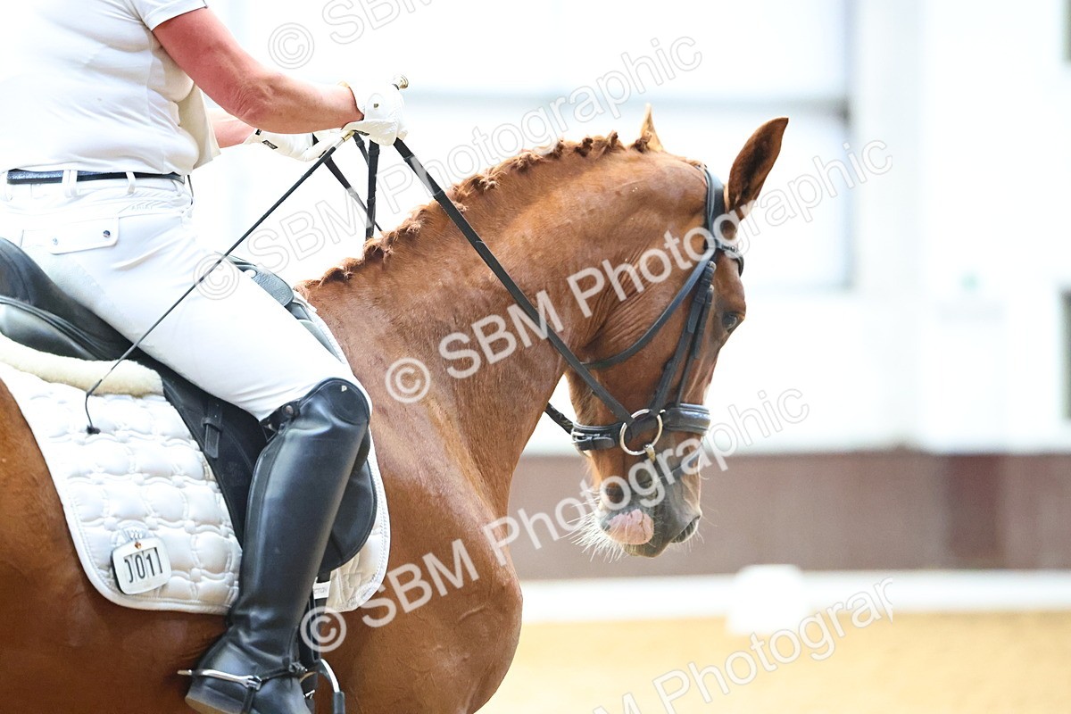 SBM_021435 - Class 11 - P5