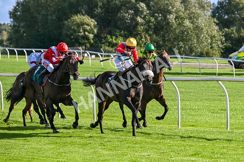 080926-Race 6-Filey Beach-3115 - Race 6 4.46pm Download The Raceday Ready App Handicap