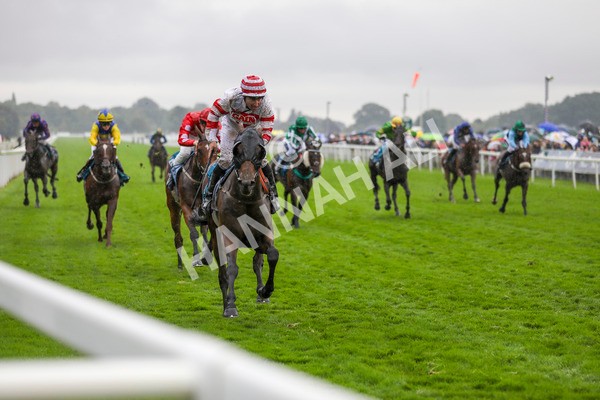 080924-Race 7-Young Fire-4615 - Race 7 5.10pm Elevator Company Amateur Jockeys' Handicap