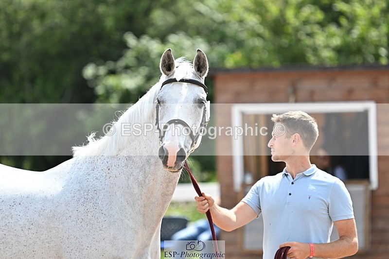 240717A-151724-02720 - Trot Up 3pm to 4pm