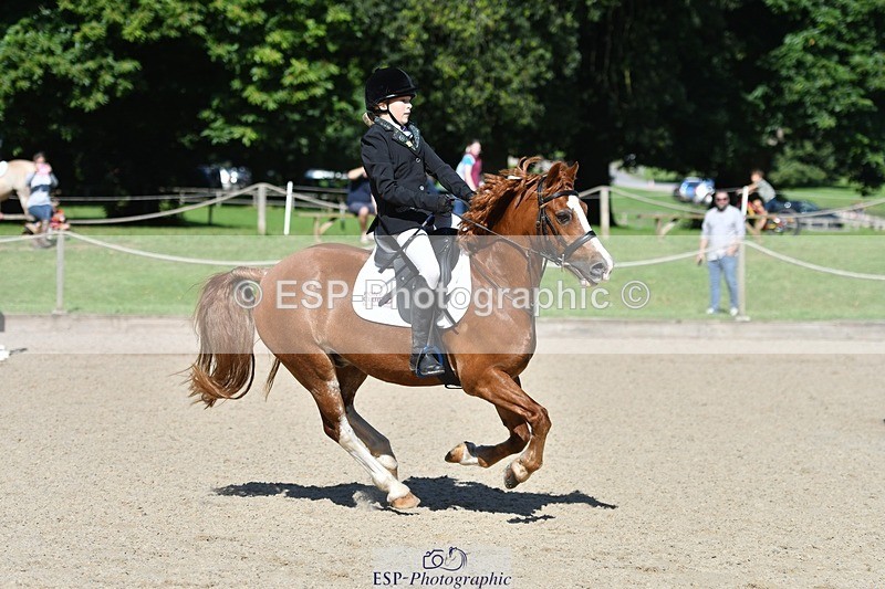 240728-095357-02005 - PC70, Round 2