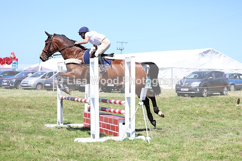 3E7A5494 - Class 9: Senior British Novice/90cm open