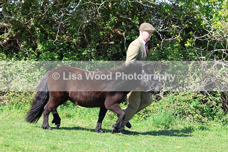 3E7A9404 - Class 16: Best Grass Kept