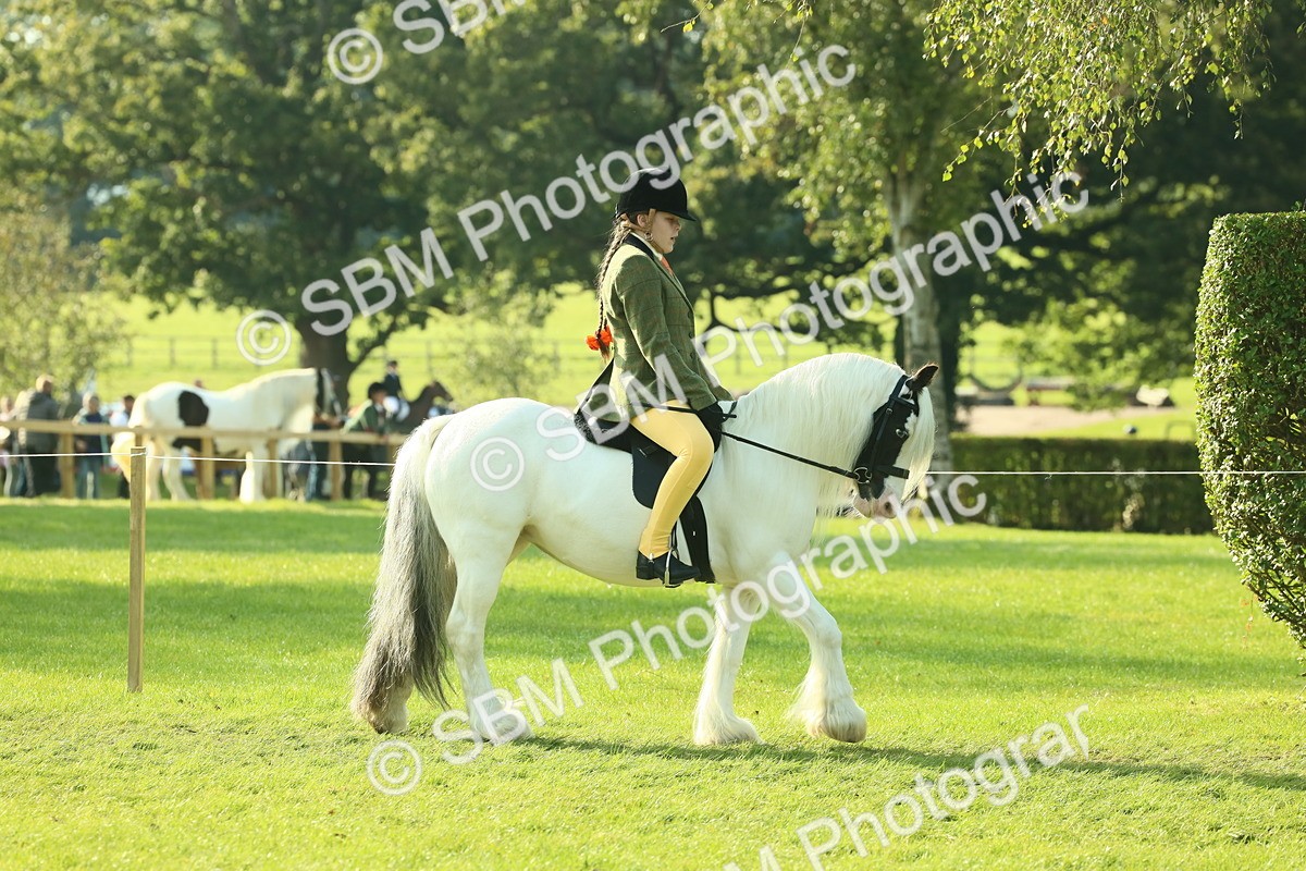 SBM_59299 - S38 - Starters Ridden Showing