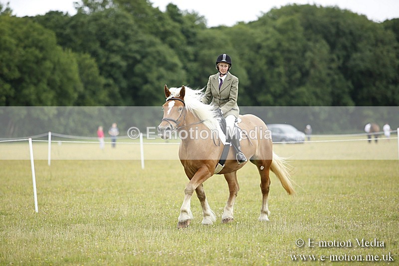 BVR160717-292 - Ring 1 BVRC Show 16/07/17