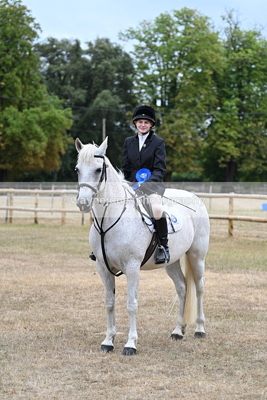 WJ7_1002 - Class 7 Riding Club Show Horse