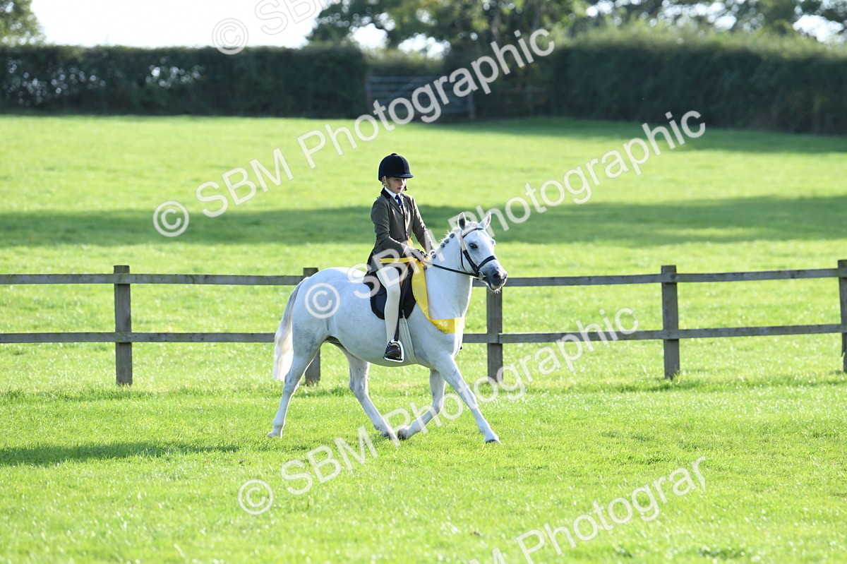 SBM_52452 - S22 - 1st Ridden Show & Show Hunter Pony