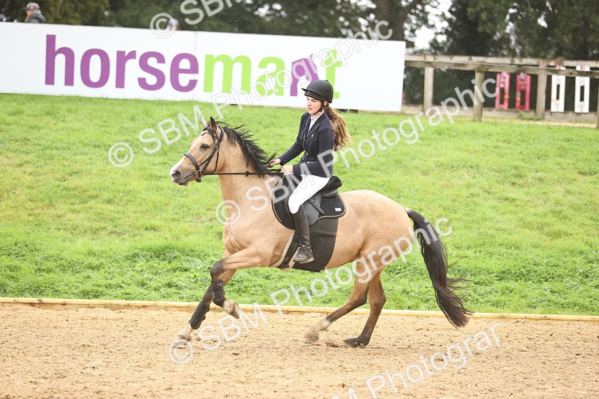 SBM_73493 - J19 - Junior Horse & Pony 90cm Supreme championship