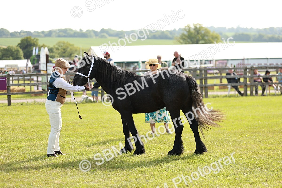 SBM_00727 - Class 14-23 - Mountain & Moorland In Hand Non Welsh