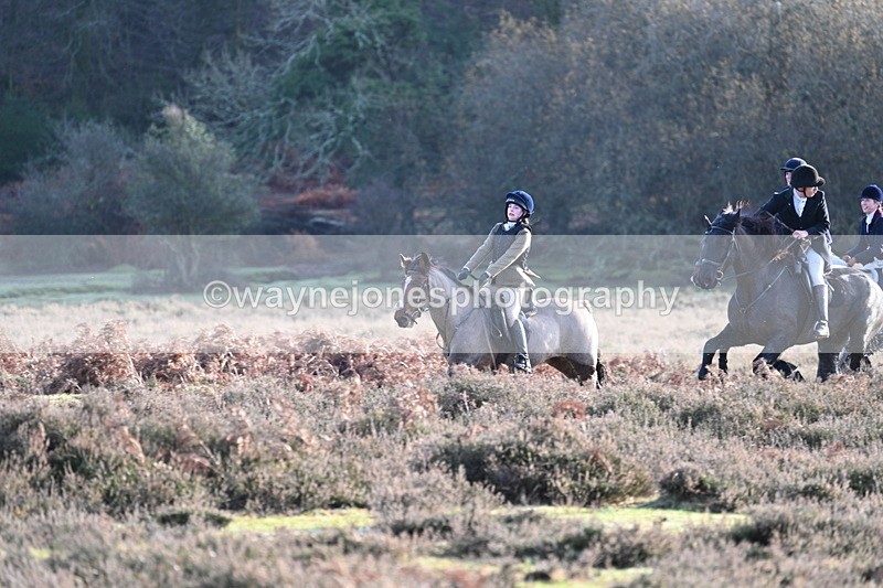 WJ7_7904 - Line 3 (no line 4 or 5)