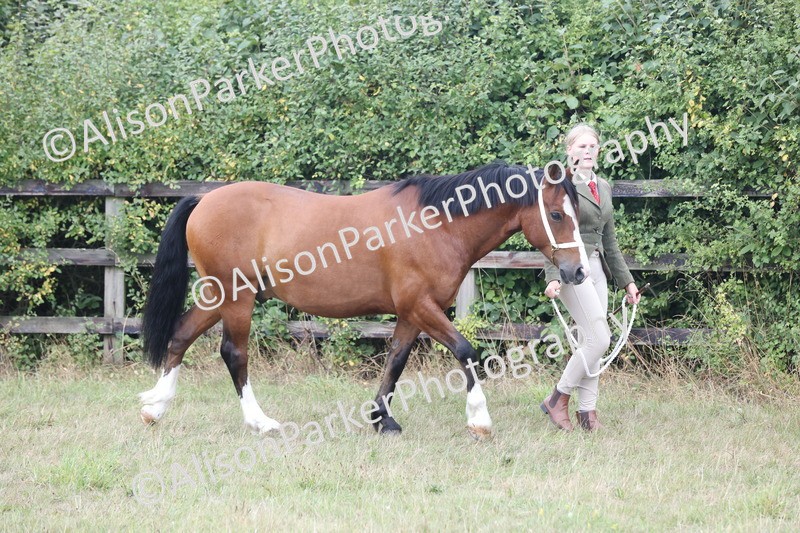 20250831-3017 - Class 23 - Child Handler