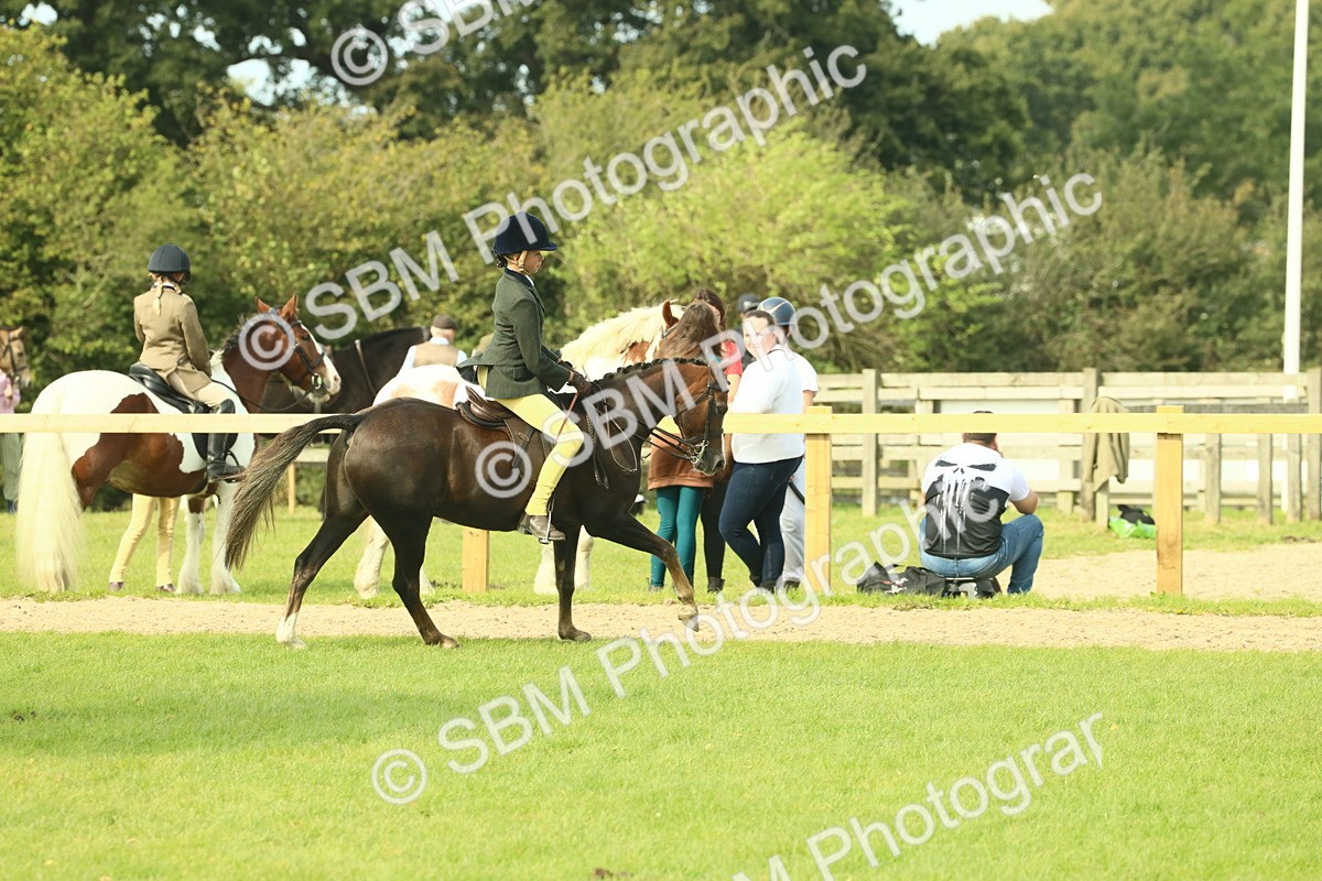 SBM_68062 - S57 - Part Bred Pony Ridden