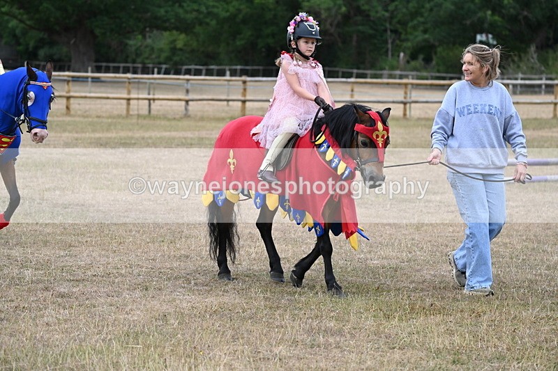 WJ6_8662 - Class 11 Fancy Dress