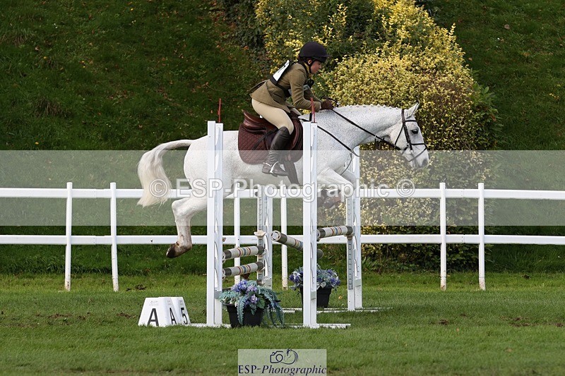 231022-141533-28145 - 457-KILLOUGHTER.GOLD.DUST-Olivia.McDonald-TrotUp+SJ