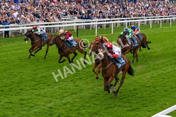 250524-Race 7-Feel The Need-4384 - Race 7 5.05pm Alf Duffield Memorial Handicap