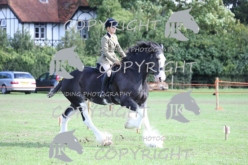 APP_3766 - Class 8 Ridden Class