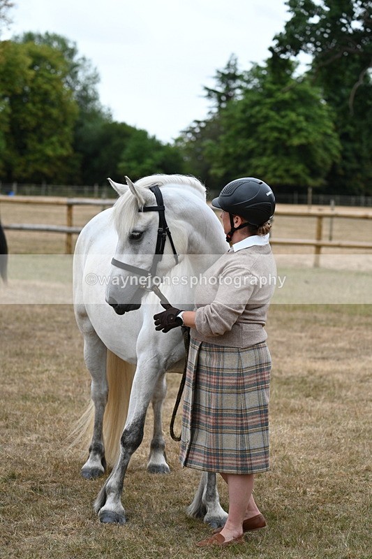 WJ7_9155 - Class 4a Prettiest Mare 14.2hh and over