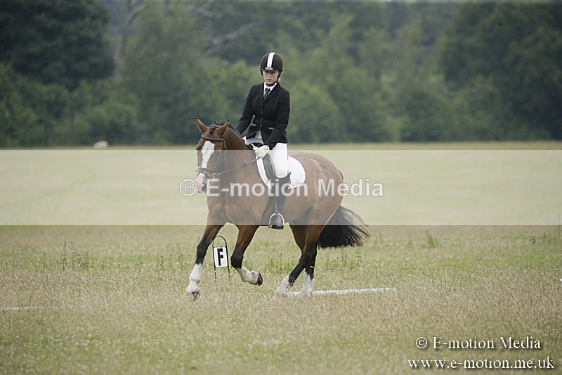 B230619-0674 - Bourne Valley Riding Club Summer Show 23/06/19