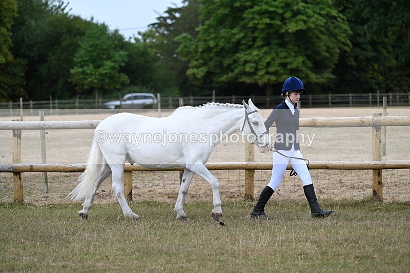 WJ7_9469 - Class 5 Most Handsome Gelding (up to 14.2hh)