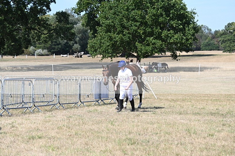 WJ6_9448 - Class 40 Cheekiest Pony/Horse