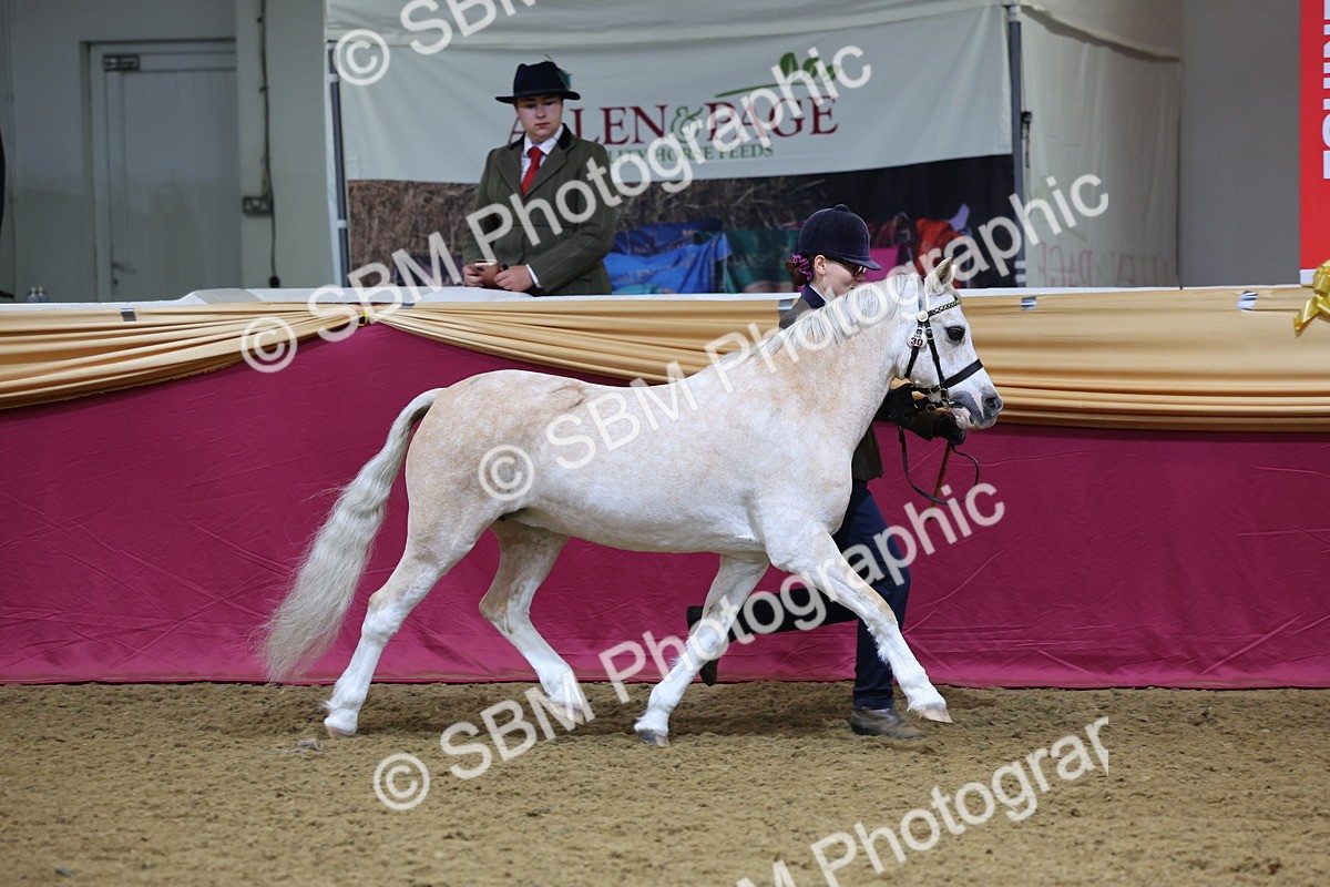 SBM_19387 - Class 901 - Supreme Final - IH Diamond
