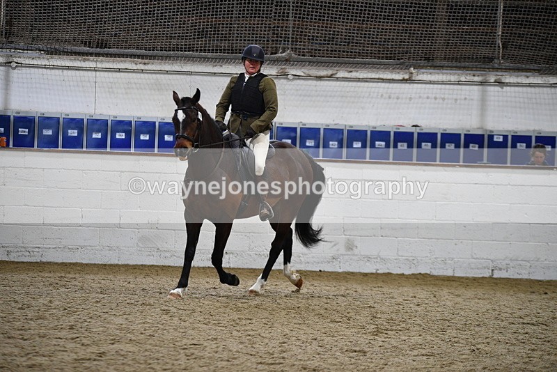 WJ5_7953 - Class 13 Ridden Part Breed