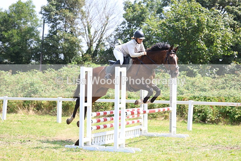 3E7A2840 - Class 7: Senior British Novice/90cm open