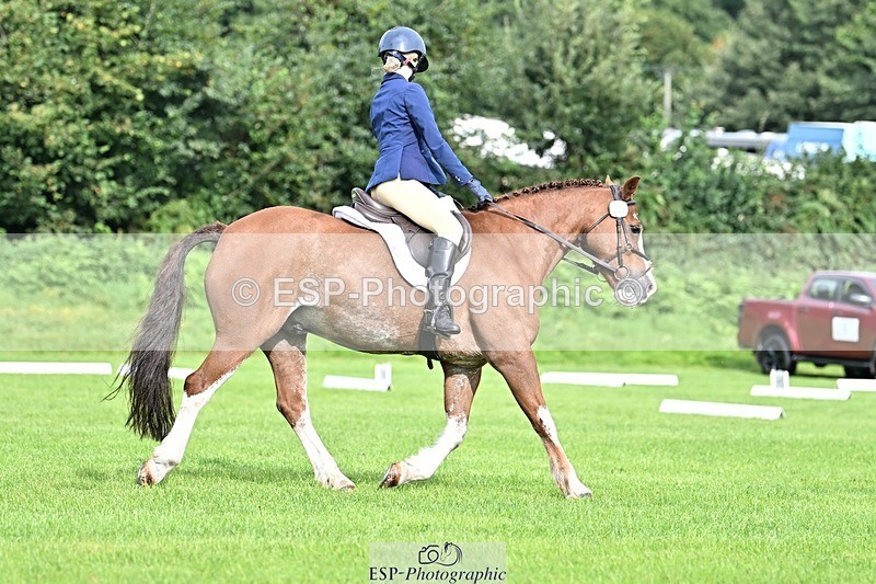 230826-100543-16366 - Sections A & B 10 to End