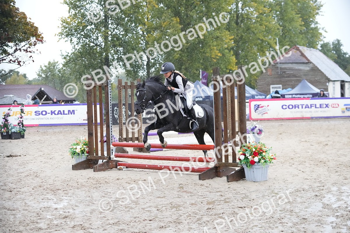 SBM_36060 - J5 - Junior Pony 50cm Championship