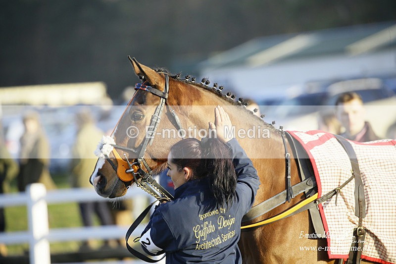 PtP 270222 672 - South & West Wilts Point-to-Point Larkhill 27/02/22