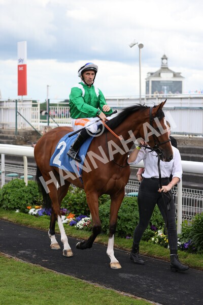 yr22052022r7-6 - Race 7: 6:40pm Sky Bet Sunday Series Fillies' and Mares Stakes