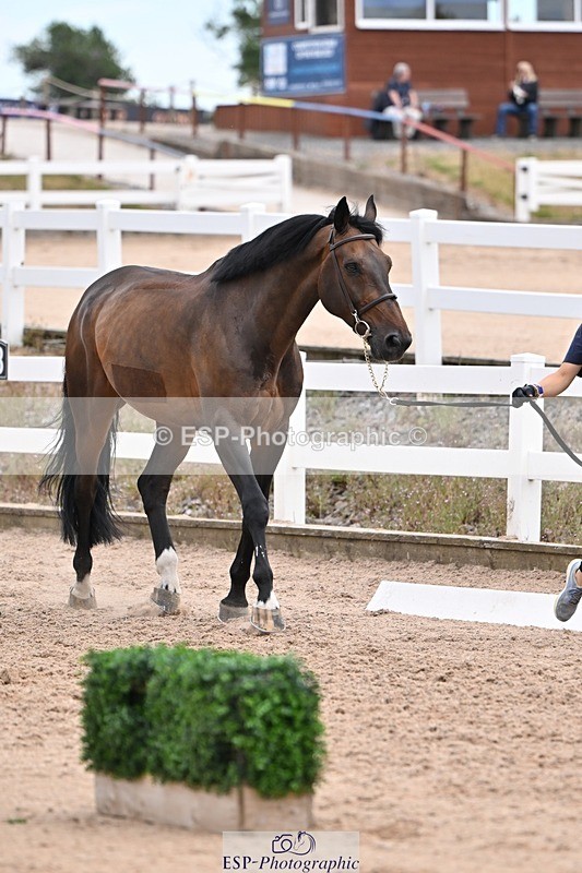 250716-135903-00840 - Trot Up 1.30 to 2.30