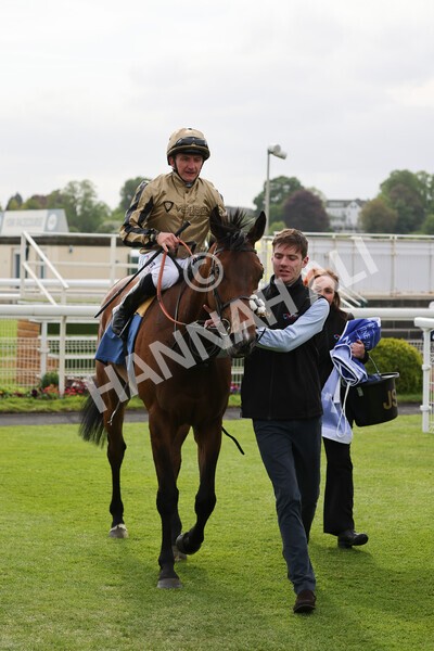 yr13052022r6-38 - Race 6 4.45pm Yorkshire Equine Practice Stakes