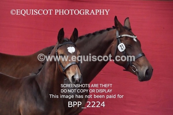 BPP_2224 - AFTERNOON 12.30 - 3.30PM