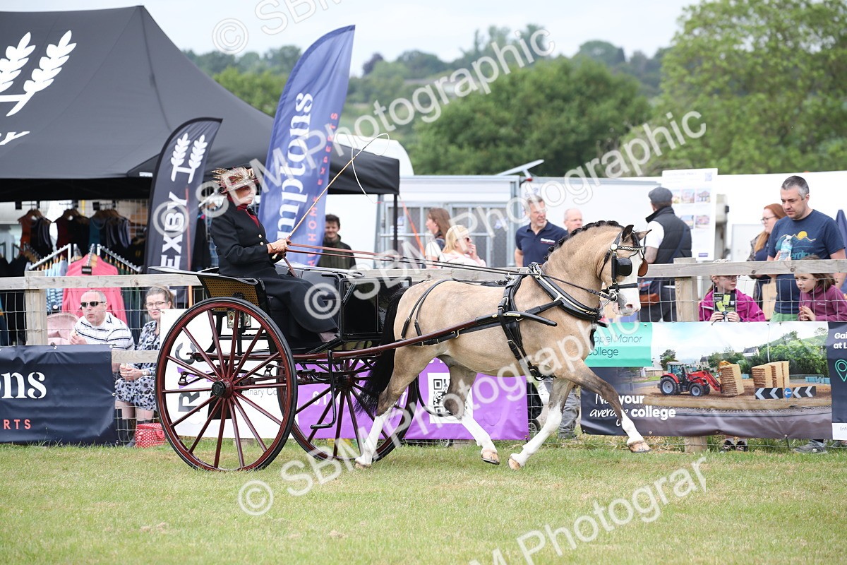SBM_05896 - Class 12-15 - HOYS Private Driving