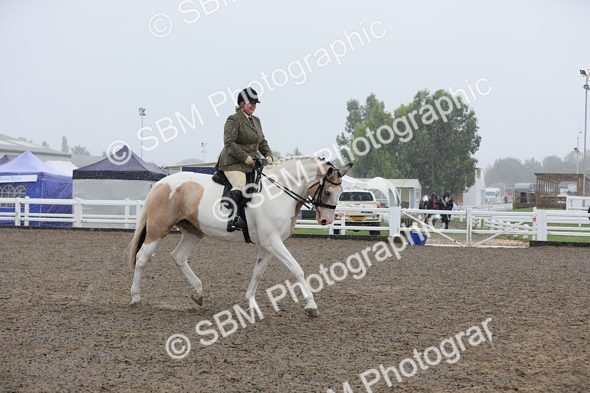 SBM_20349 - Class 803 - Ridden Combination 65+