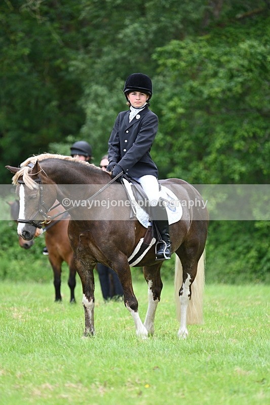 WJ7_4216 - Class 14A Handsome Gelding