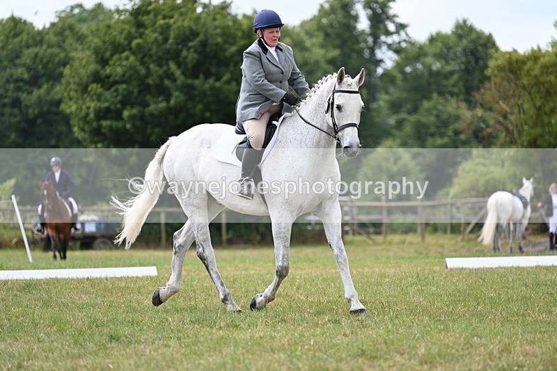 WJ7_5027 - Time 11:22 to 11:51